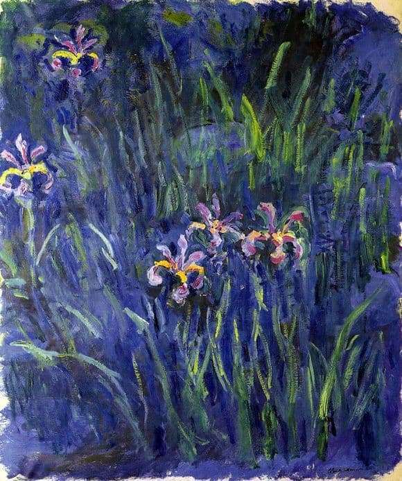 Description of the painting by Claude Monet Irises