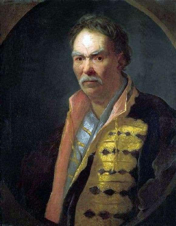 Description of the painting by Ivan Nikitin Portrait of a floor hetman